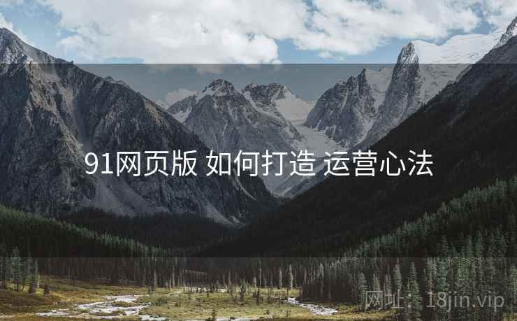 91网页版 如何打造 运营心法