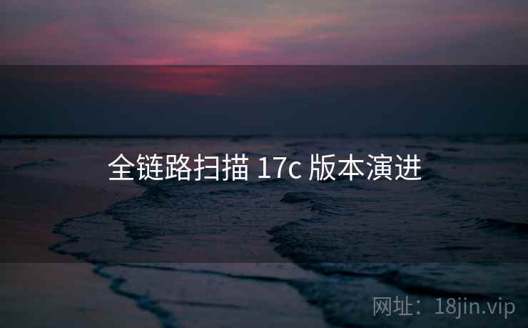 全链路扫描 17c 版本演进