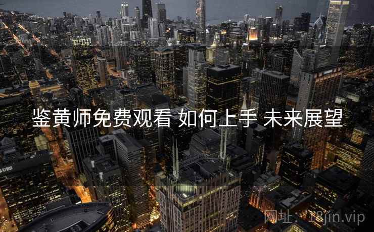 鉴黄师免费观看 如何上手 未来展望