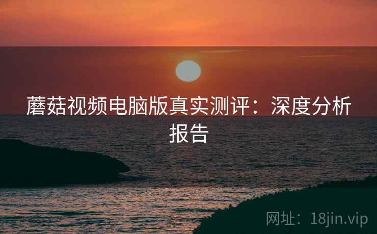 蘑菇视频电脑版真实测评：深度分析报告