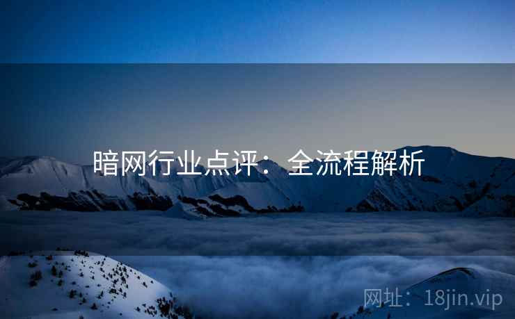 暗网行业点评：全流程解析