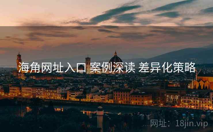 海角网址入口 案例深读 差异化策略