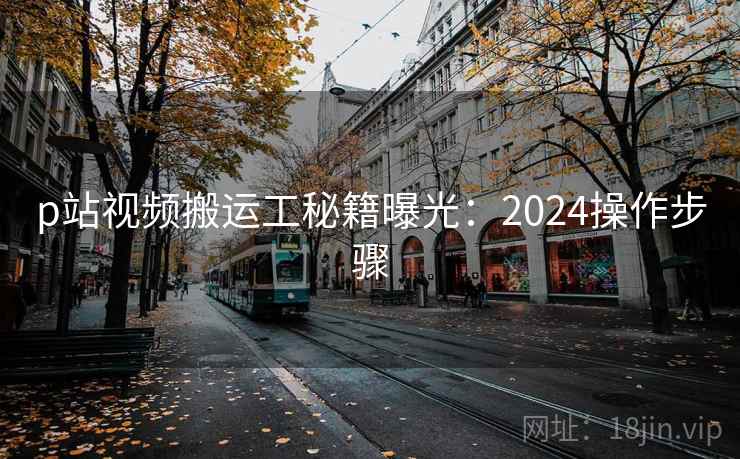 p站视频搬运工秘籍曝光：2024操作步骤
