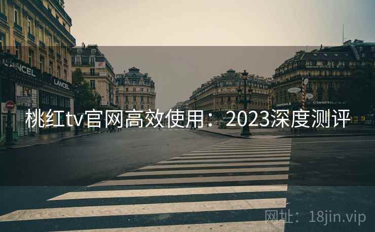 桃红tv官网高效使用：2023深度测评
