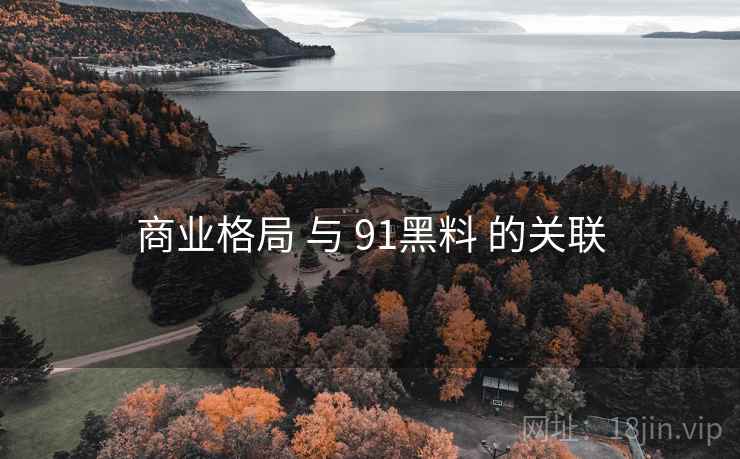 商业格局 与 91黑料 的关联