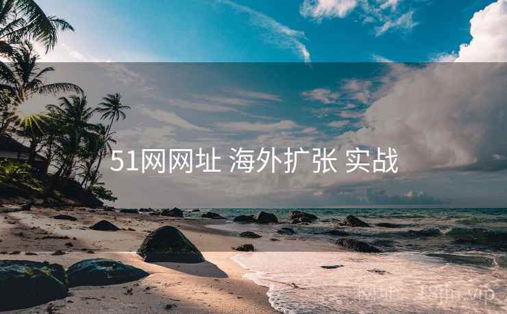 51网网址 海外扩张 实战