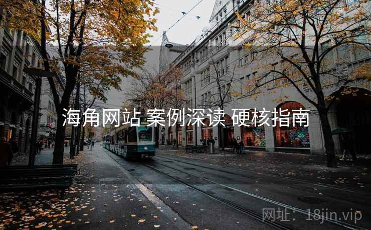海角网站 案例深读 硬核指南